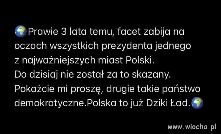 Dziki ład 