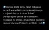 Dziki ład 