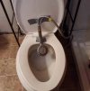 Bidet