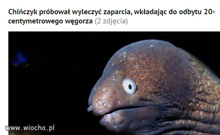 Ech, ta tradycyjna medycyna...
