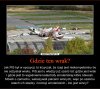 Tyle krzyku i propagandy ale gdzie jest wrak?