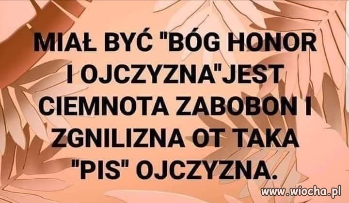 Komentarz zbędny.