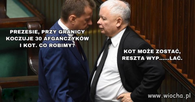 Prezesie, co robić ?