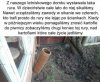Też się zastanawiam