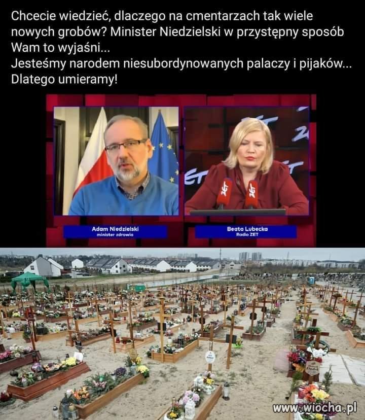 Inteligencja 