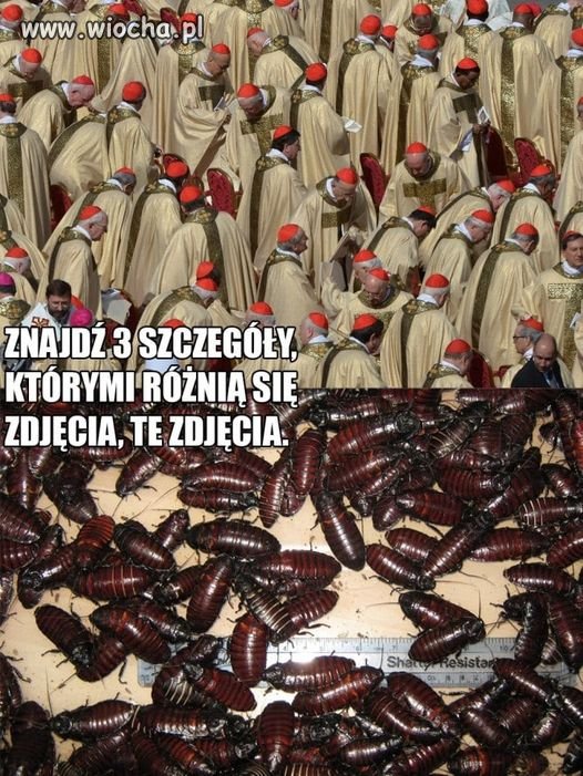 Pewnie jakieś są różnice ale niewielkie 
