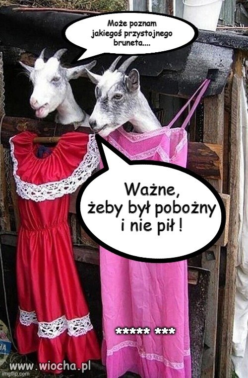 W małej wiosce 