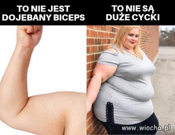 Fakt.