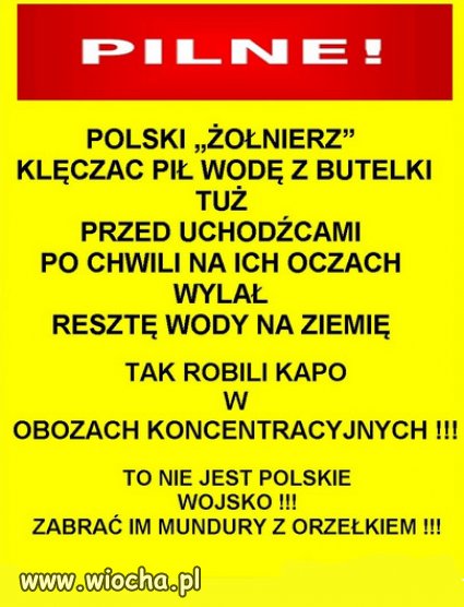 To ta duma z munduru polskiego żołnierza PiSu?