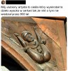 Dzieło.