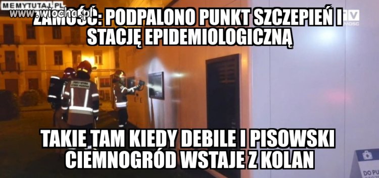 Niech żyje głupota 