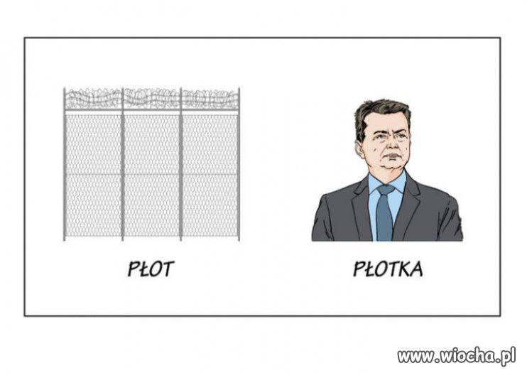  mały płot to płotka 