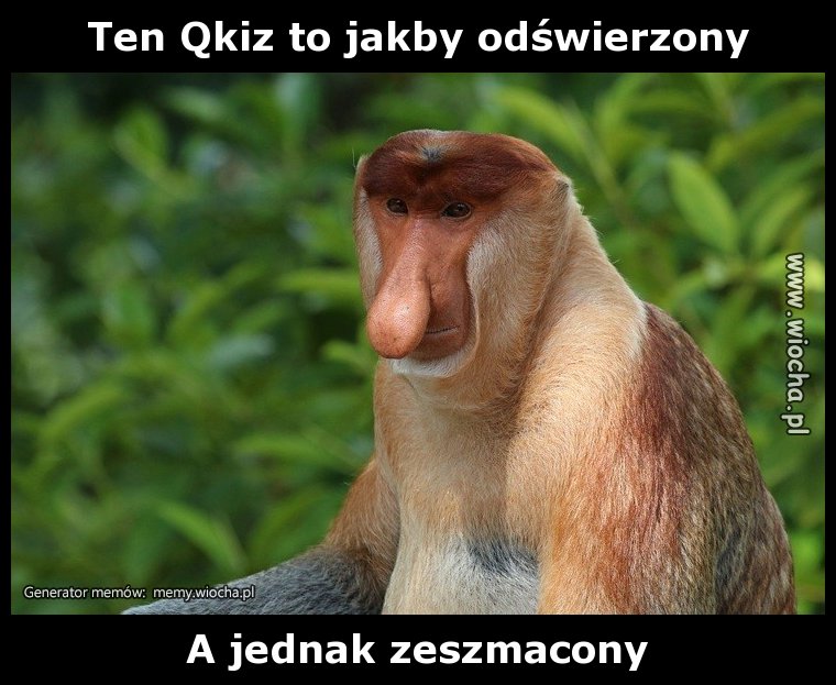 Ten Qkiz to jakby odświeżony