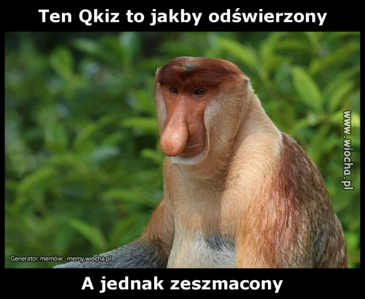 Ten Qkiz to jakby odświeżony