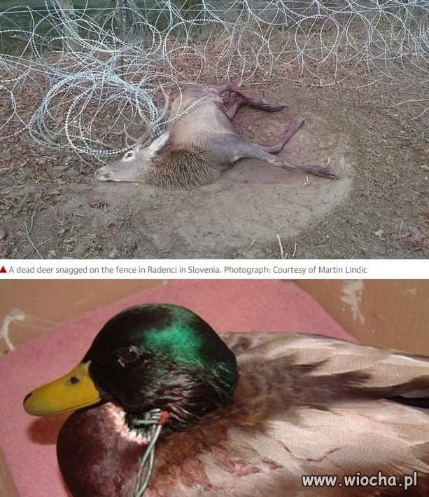 Takie będą skutki 