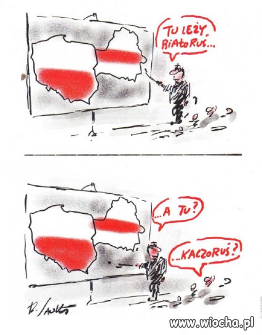 Kaczorus katotalibanow...