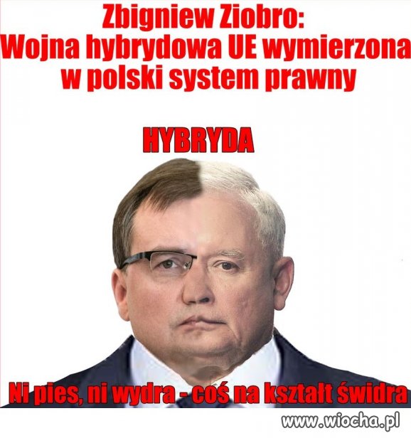 Wojna