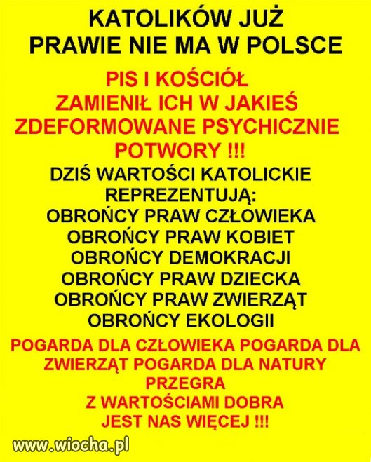 PiS wyniosły do władzy hołota, chamy i prostacy, głupi naród