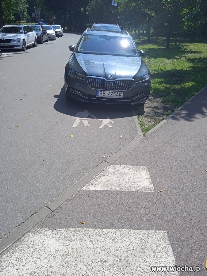 Jak powiedział znajomy ornitolog