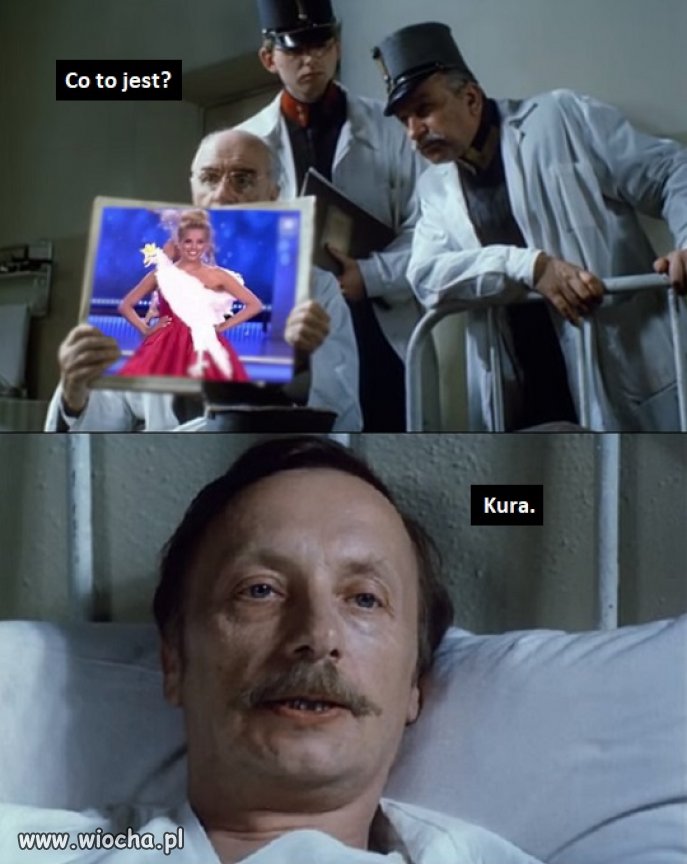 Kura jak modelka - jak się ładnie piórka ułoży to i orzeł z niej będzie będzie.