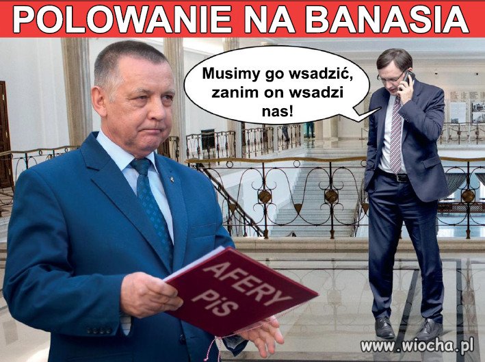 Polowanie na Banasia...