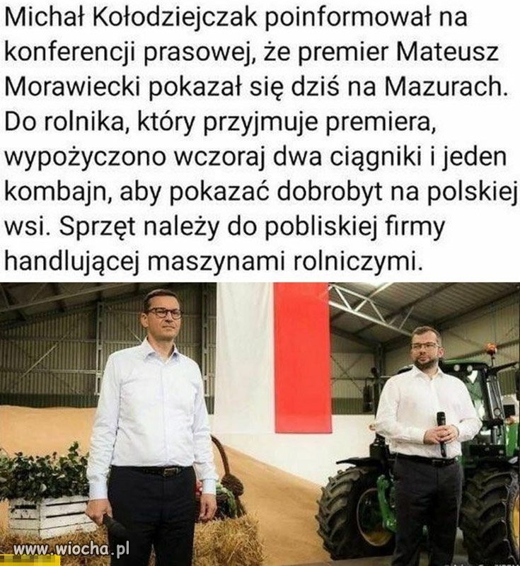 Cały pis
