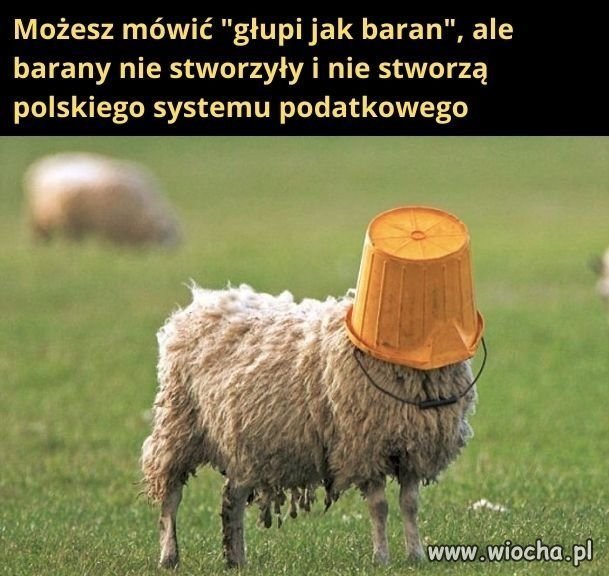 Tyle w temacie
