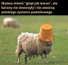 Tyle w temacie