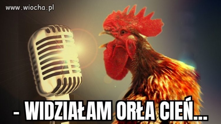 Widziałem ...