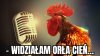 Widziałem ...