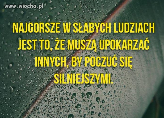 Bez komentarza