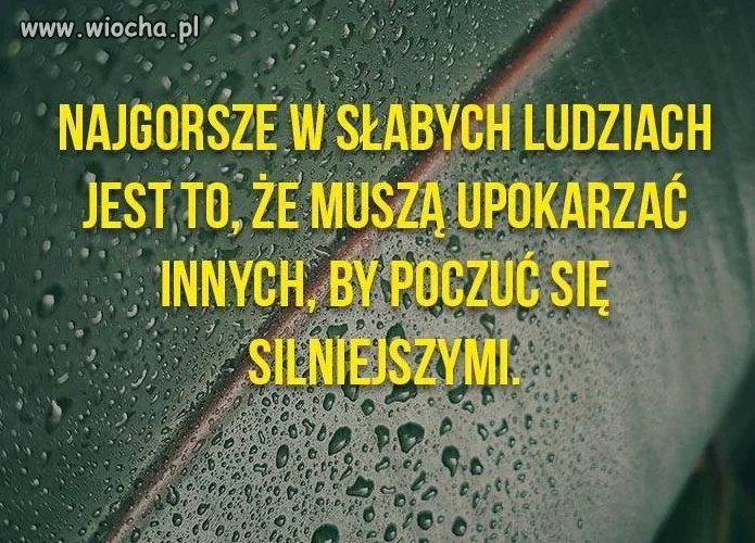 Bez komentarza