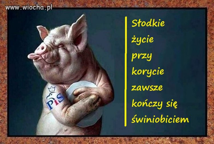Pamiętajcie o tym pisiory ...