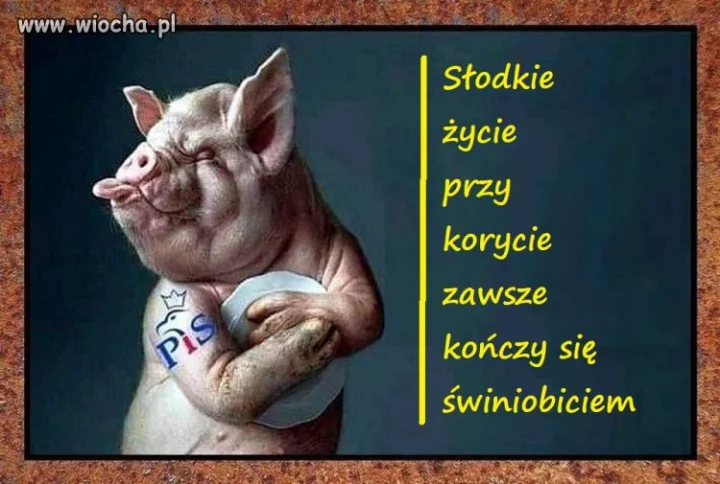Pamiętajcie o tym pisiory ...