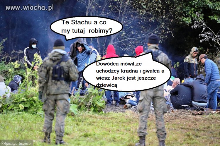 Służba nie drużba