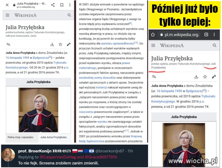Przyłębska w Wikipedii