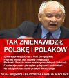 Dokładnie tak.