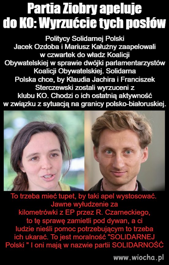 Solidarna Polska 