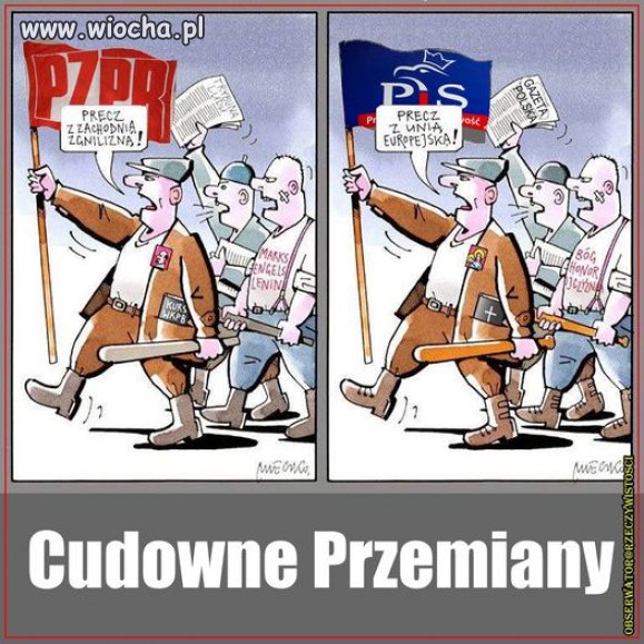 Tak to właśnie wygląda