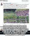 Najlepsze jest to ze rząd pis...