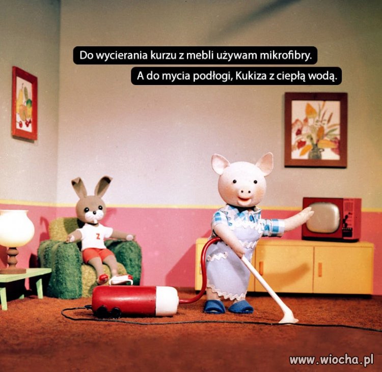 Kukiz ciąg dalszy 