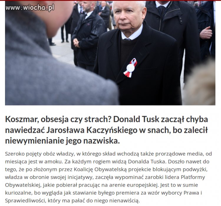 Mister Pełne gacie