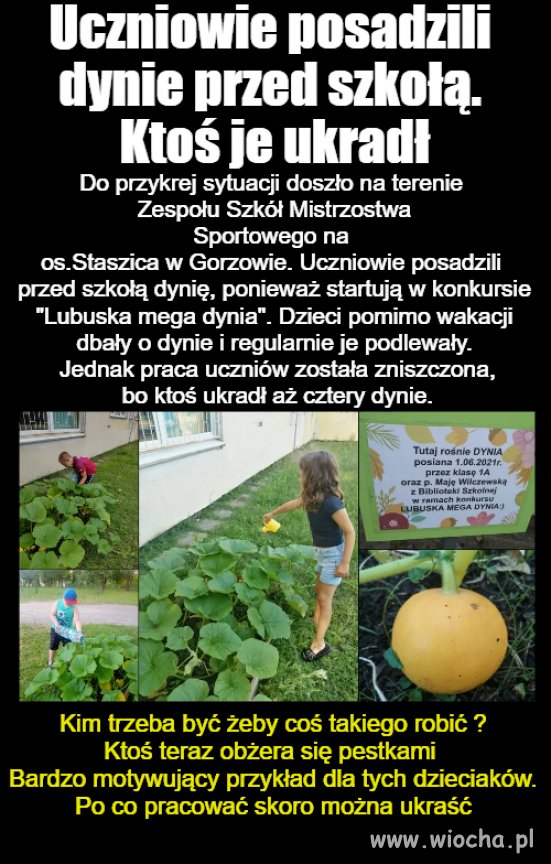 To trzeba być ...