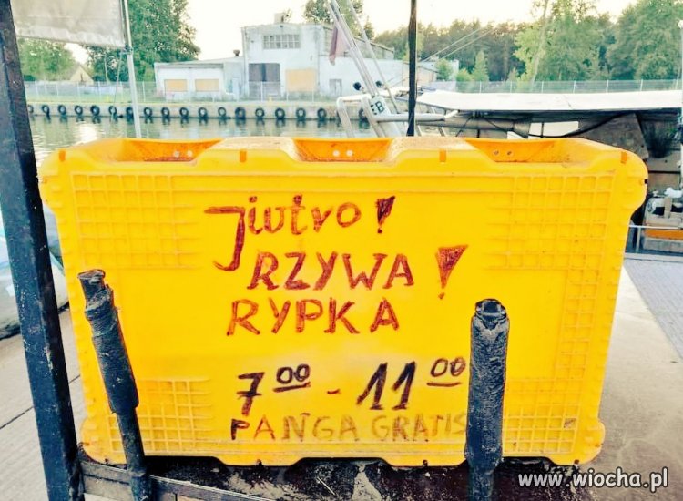 Nie ma to jak wakacje nad polskim ''możem''!