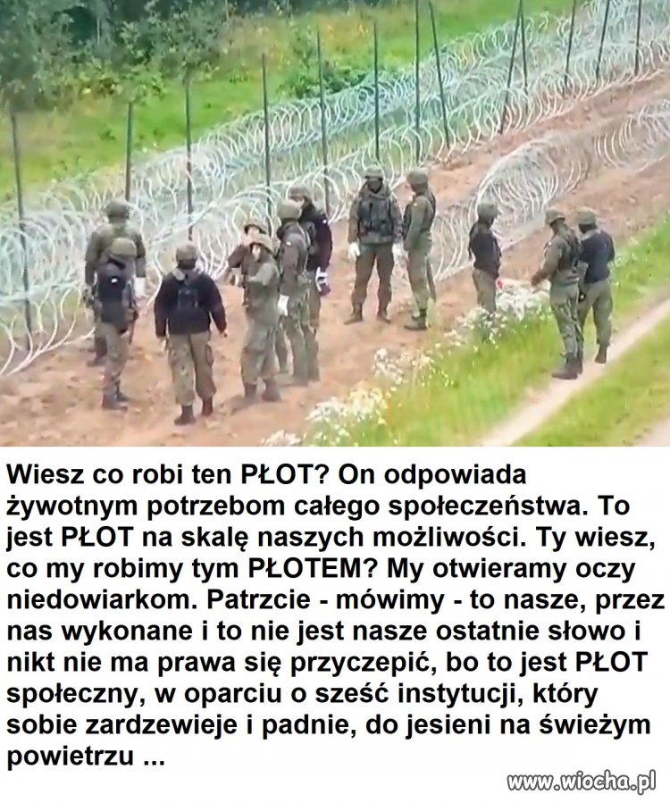 PŁOT