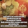 Jeszcze nie jest za późno !