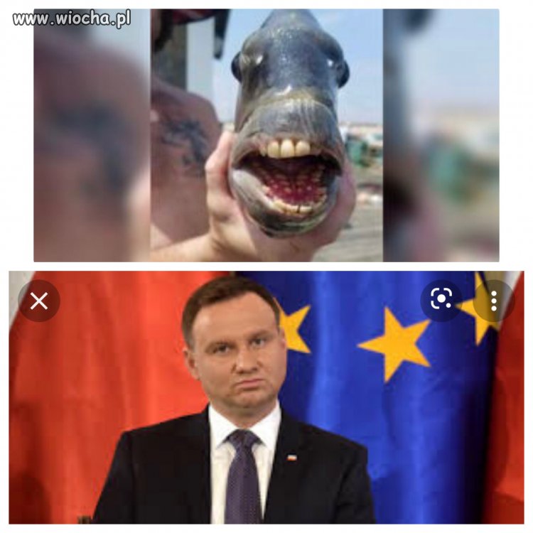 Taka zagwostka.
