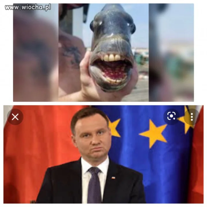 Taka zagwostka.