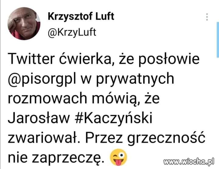 Dopiero teraz to spostrzegli ?