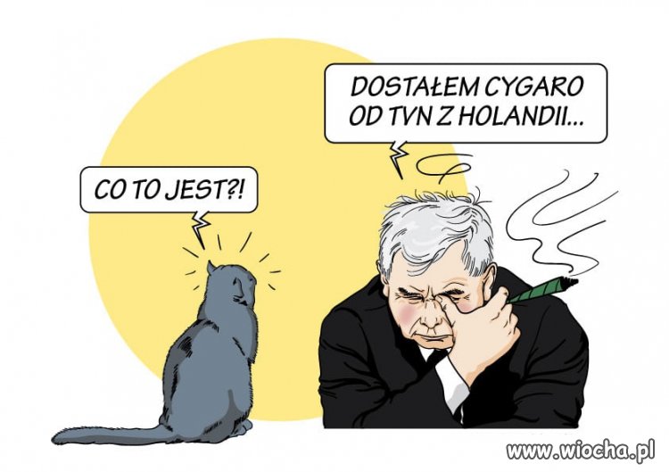 Przypalił z kotem 